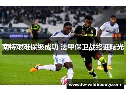 南特艰难保级成功 法甲保卫战终迎曙光 南特艰难保级成功 法甲保卫战终迎曙光