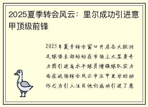 2025夏季转会风云：里尔成功引进意甲顶级前锋